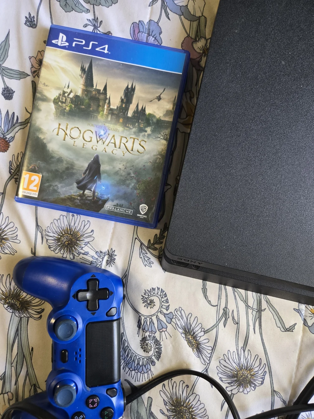 Sony 4 Slim Black Console with Blue DualShock Controller & Hogwarts Game